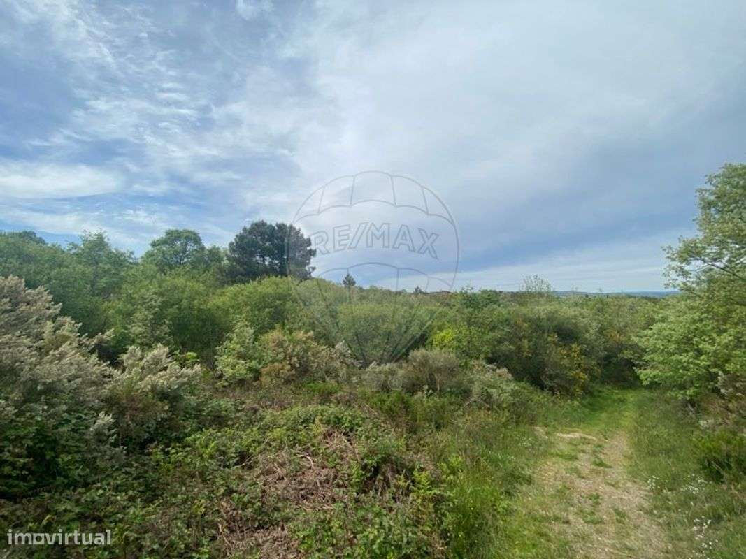 Terreno  para venda - Grande imagem: 4/9