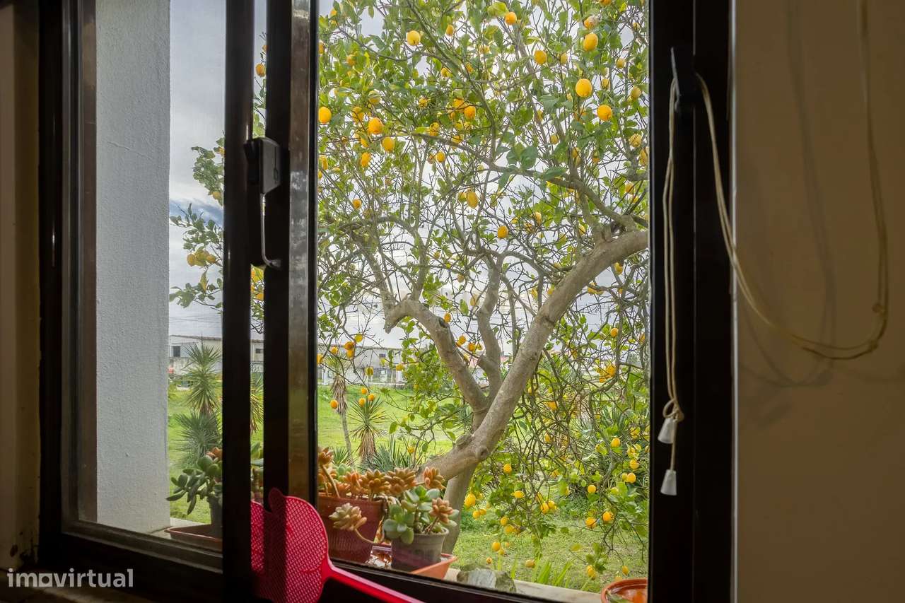 Quinta de 7800 m2  com Casa Principal T3, Apartamento T1 e 6 quartos i-28