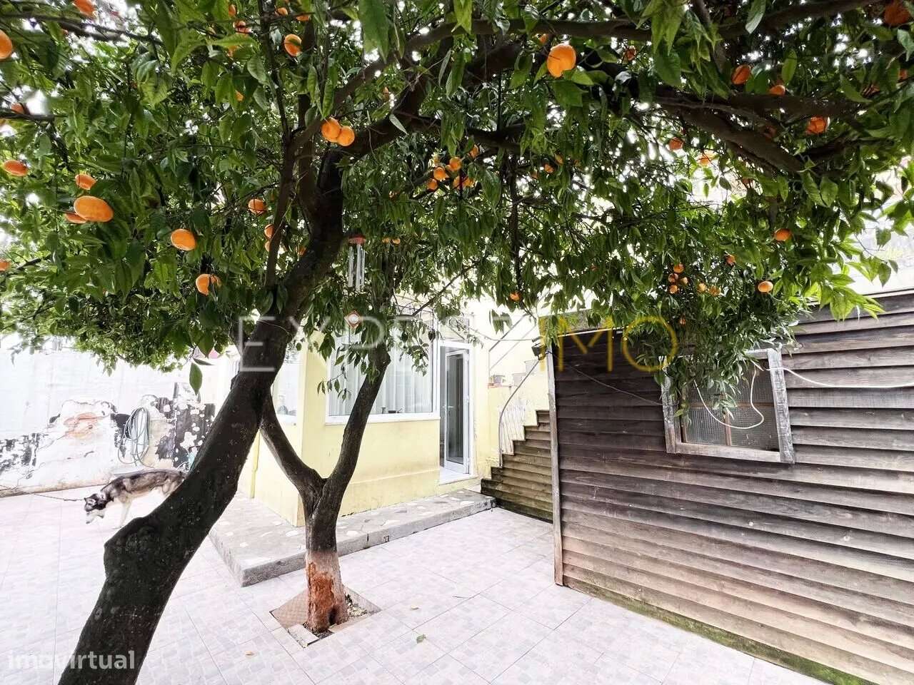 Moradia V4 Santo António dos Olivais Coimbra - Grande imagem: 2/25