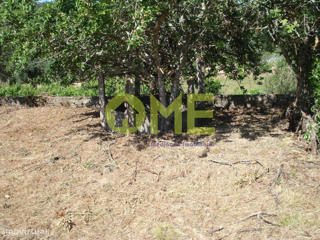 Terreno para construção, a 5 min de Caxarias - Grande imagem: 4/5