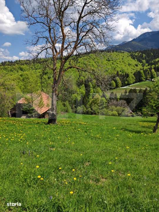 Teren intravilan 3400 mp, in Balaban - Simon, Bran - Brasov - Imagine principală: 5/8