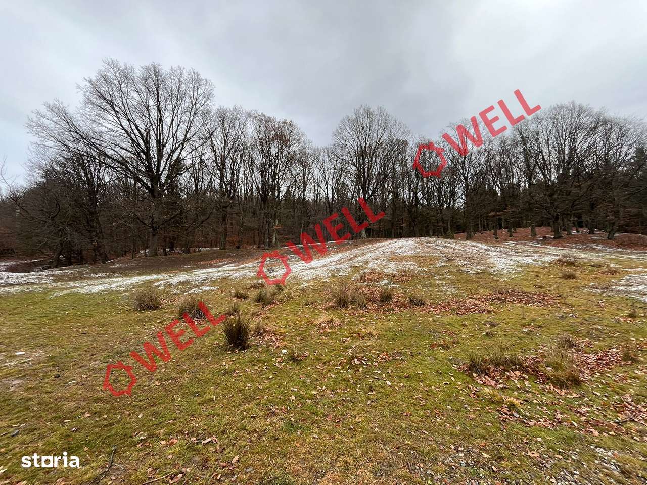 Teren intravilan de vânzare în Chiuruș! - Imagine principală: 3/5