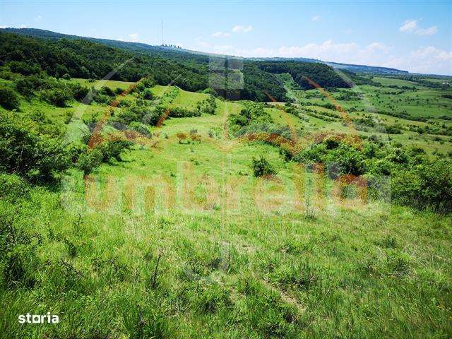 Teren de vanzare in jud.Cluj, Feleacu 3.100 mp - Imagine principală: 2/4