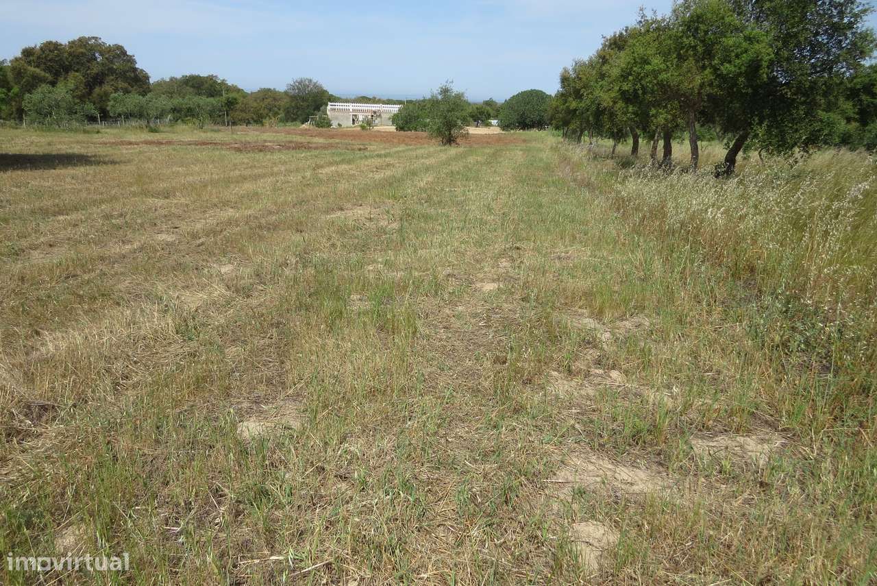 Terreno rústico de 17.000 m² em Melides-7