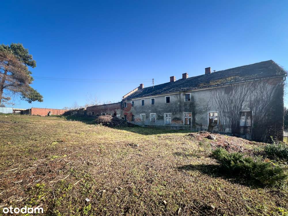 W CENIE DZIAŁKI! - Pełny obrazek: 5/6