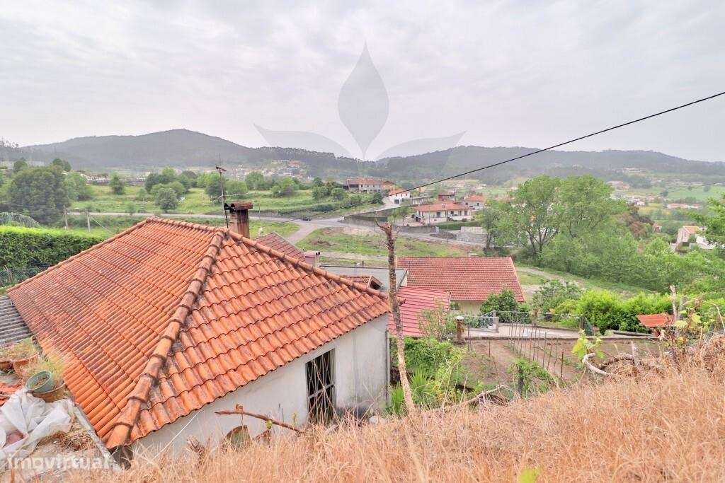 Quintinha em Escudeiros c/ aprox 3.200m2 e duas casas-14