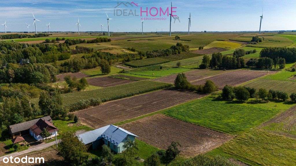 Działka rolna - Wysoka - Pełny obrazek: 5/9