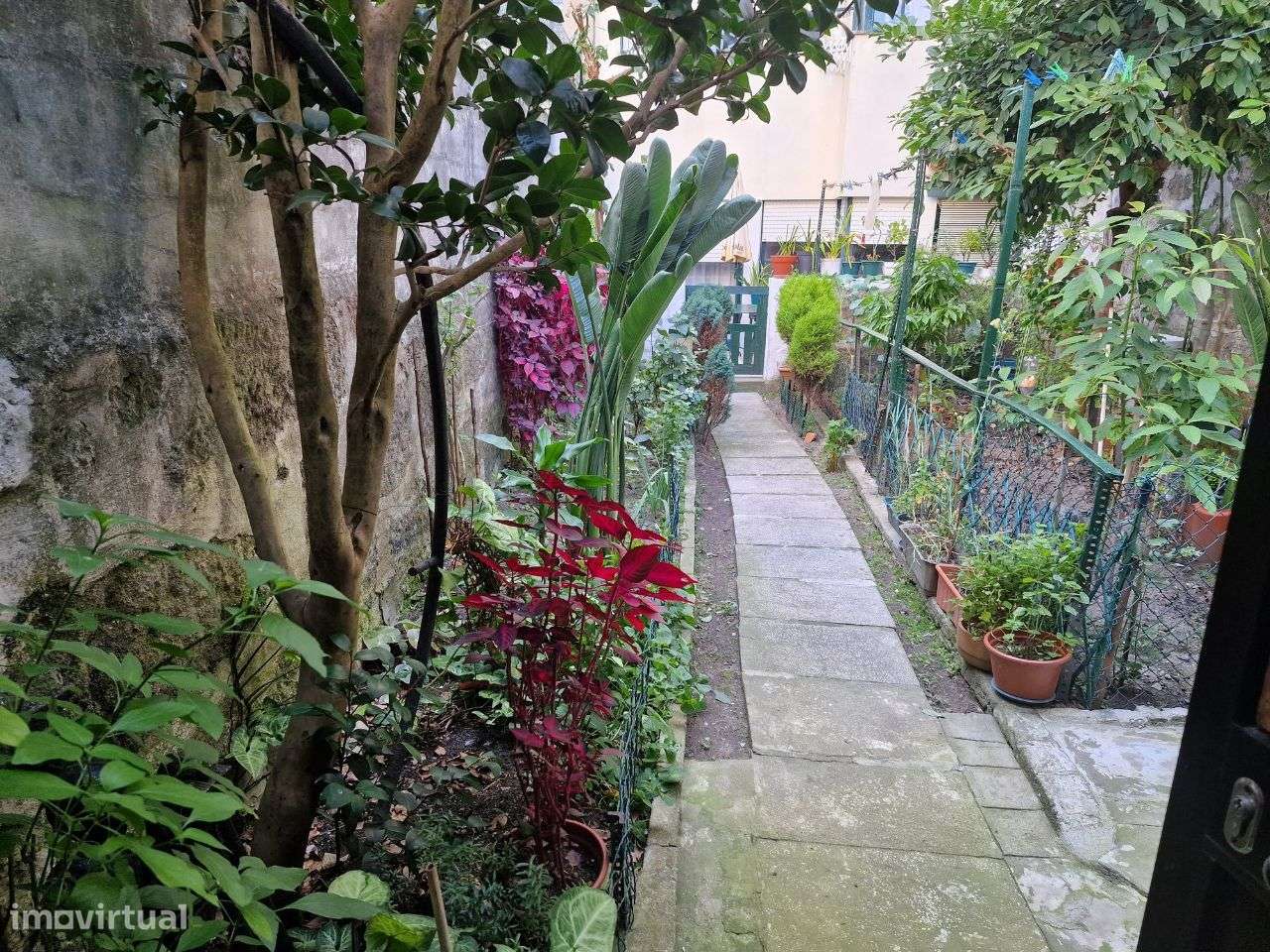 Apartamento Cedofeita, Excelente Localização, Terraço, Jardim e Anexo - Grande imagem: 4/39