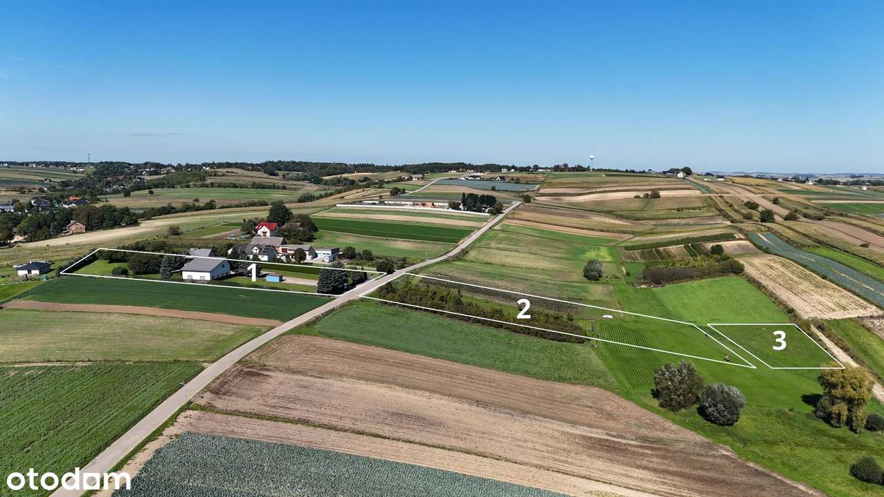 Nieruchomość z potencjałem inwestycyjnym - dom, hale, 1,42 ha ziemi - Pełny obrazek: 3/19