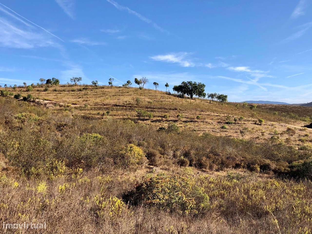 PROPRIEDADE RUSTICA COM RUINA PARA  RECONSTRUÇÃO, BENSAFRIM - Grande imagem: 5/10