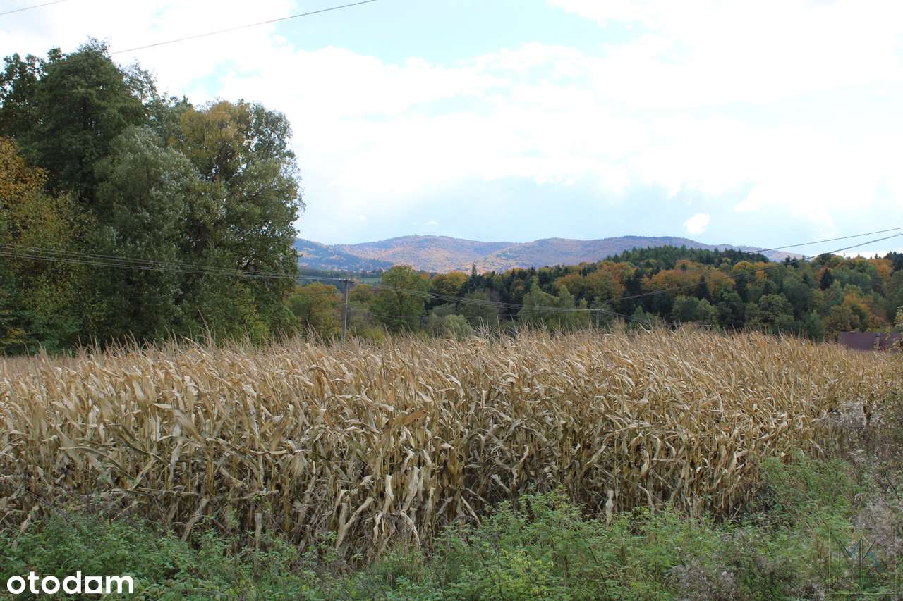 Kierlikówka - działka budowlano-rolna w spokojnej okolicy.-3