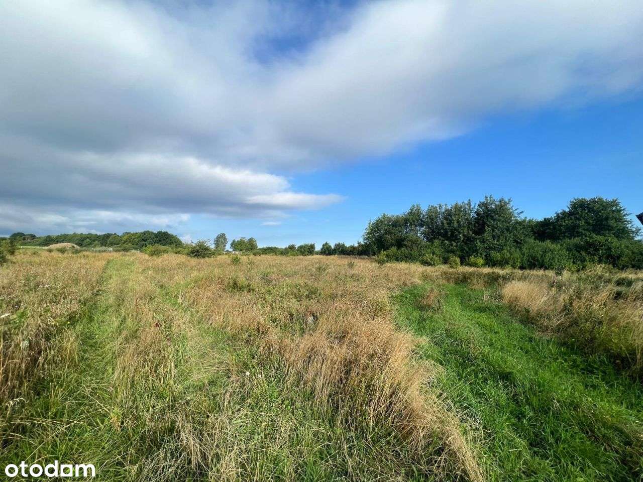 Rusinowo 500 m2 - piękna działka w zaciszu, 2km od morza-5