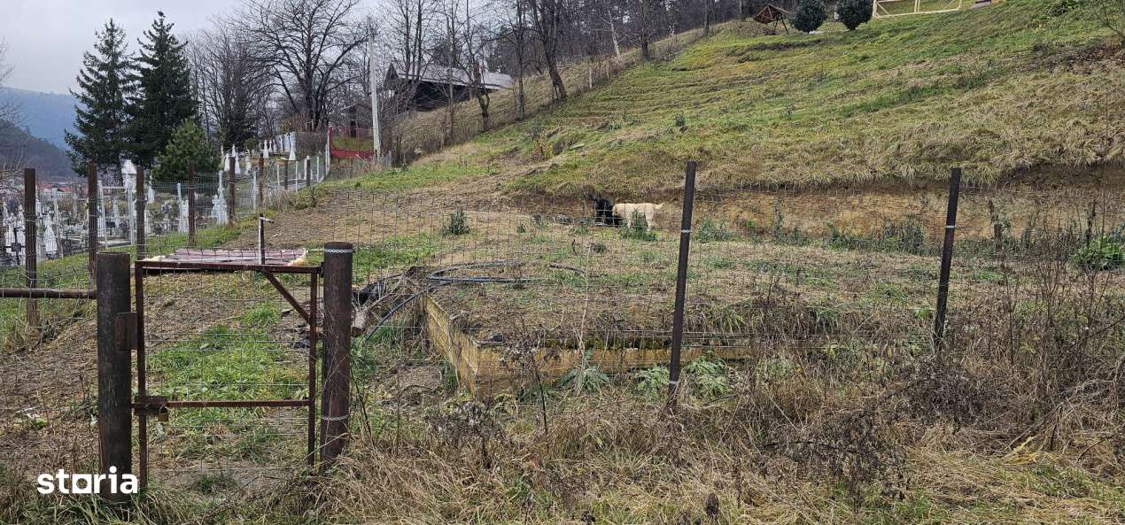 TEREN INTRAVILAN !-1