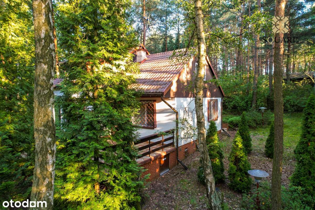 Działka 1492 m² z domem do remontu | blisko rzeki - Pełny obrazek: 5/20