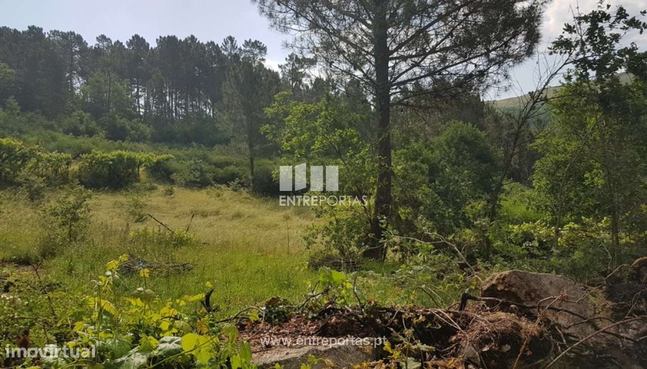 Venda Terreno, vista desafogada, Ovil, Baião - Grande imagem: 2/28