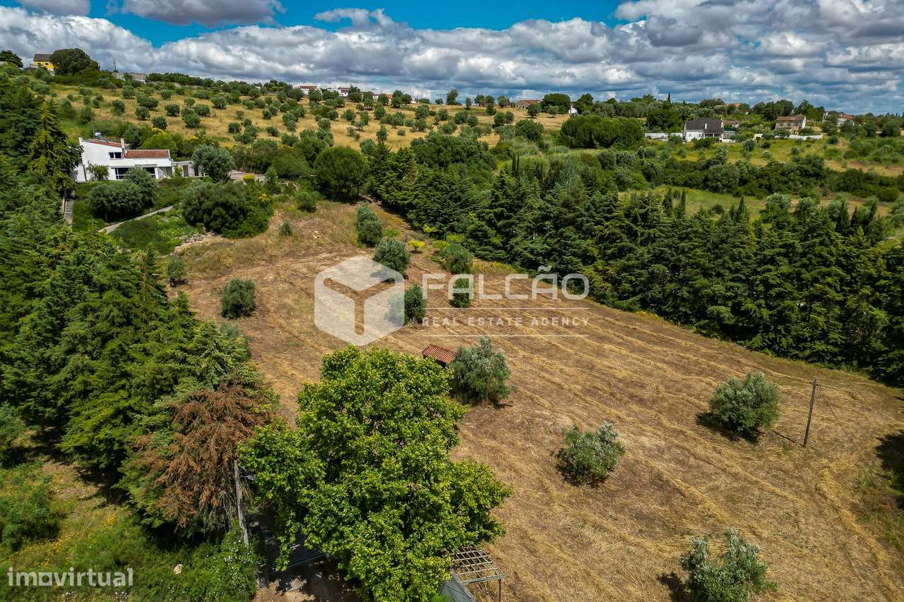 Moradia T5 Venda em Moçarria,Santarém - Grande imagem: 5/60