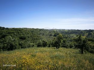 Terreno Rústico com 11,95ha com viabilidade de construção no Litoral A