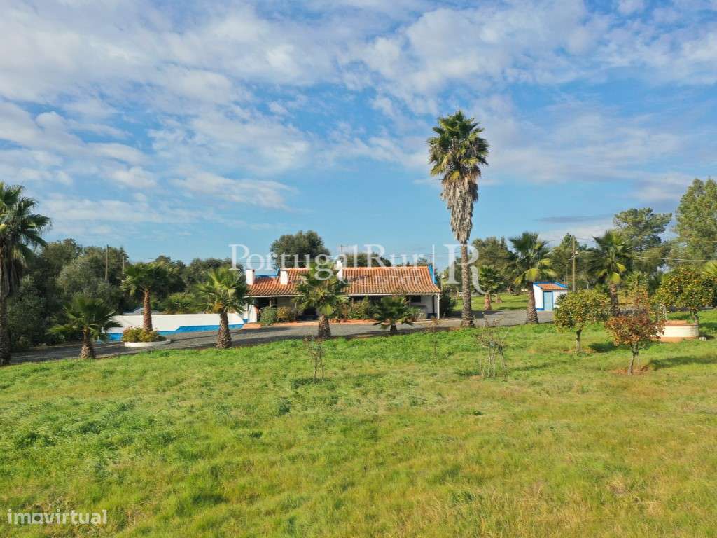 Quinta de 5 hectares, com 2 moradias e piscina-48