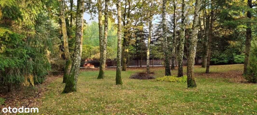 Komorów Budowlana Wkd-6