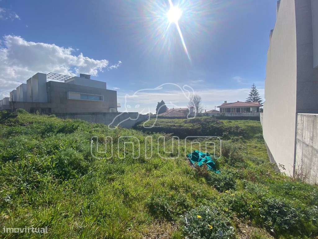 Lote Areosa - Grande imagem: 4/4