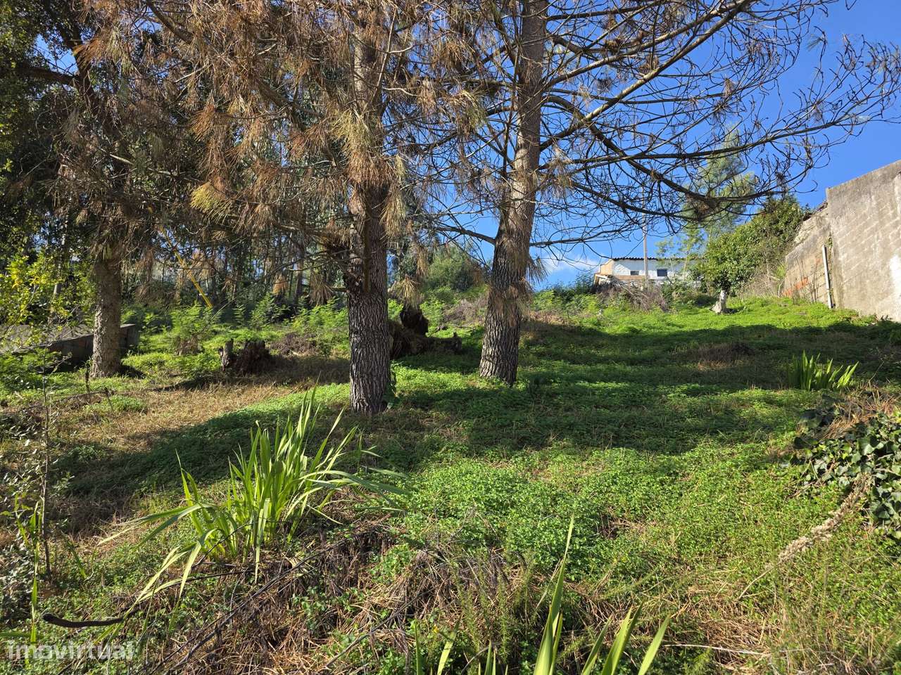 Terreno para Construção em Coimbra – 1.260m²-8