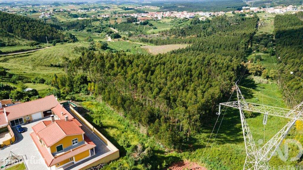 Propriedade T5 em Lamas e Cercal de 372,00 m2 - Grande imagem: 5/30