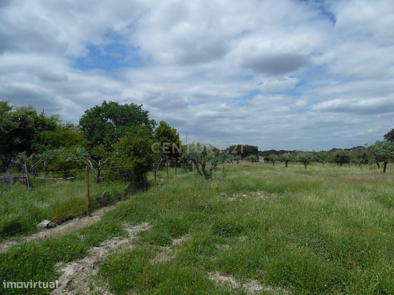 Quinta em Capelins,  Alandroal - Évora,  Oportunidade Única-38