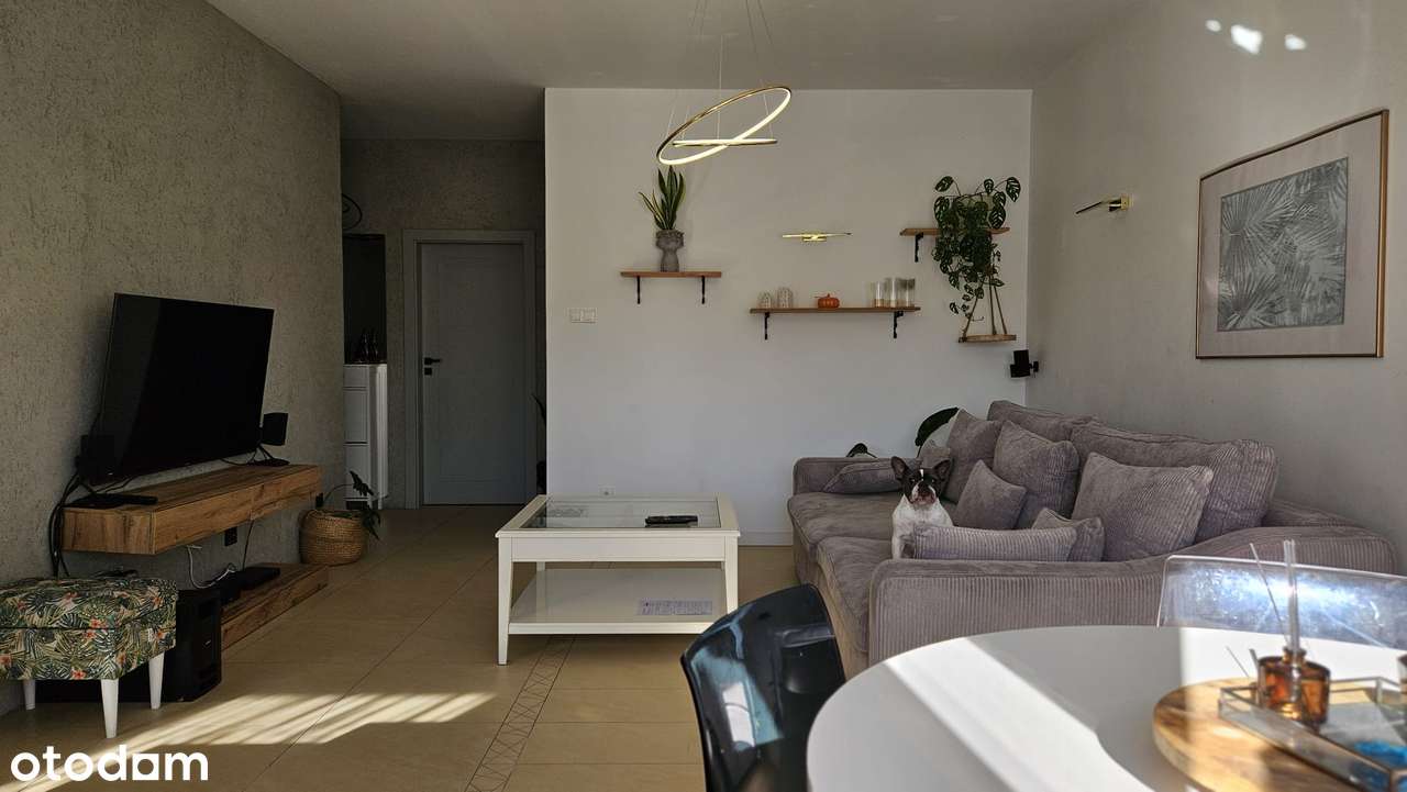 3pokojowe na Przylesiu! - Pełny obrazek: 5/7