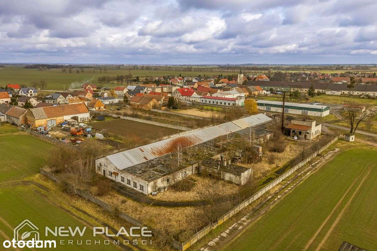 Pod usługi, produkcję, recykling, 8000m2, przy A4 - Pełny obrazek: 4/19