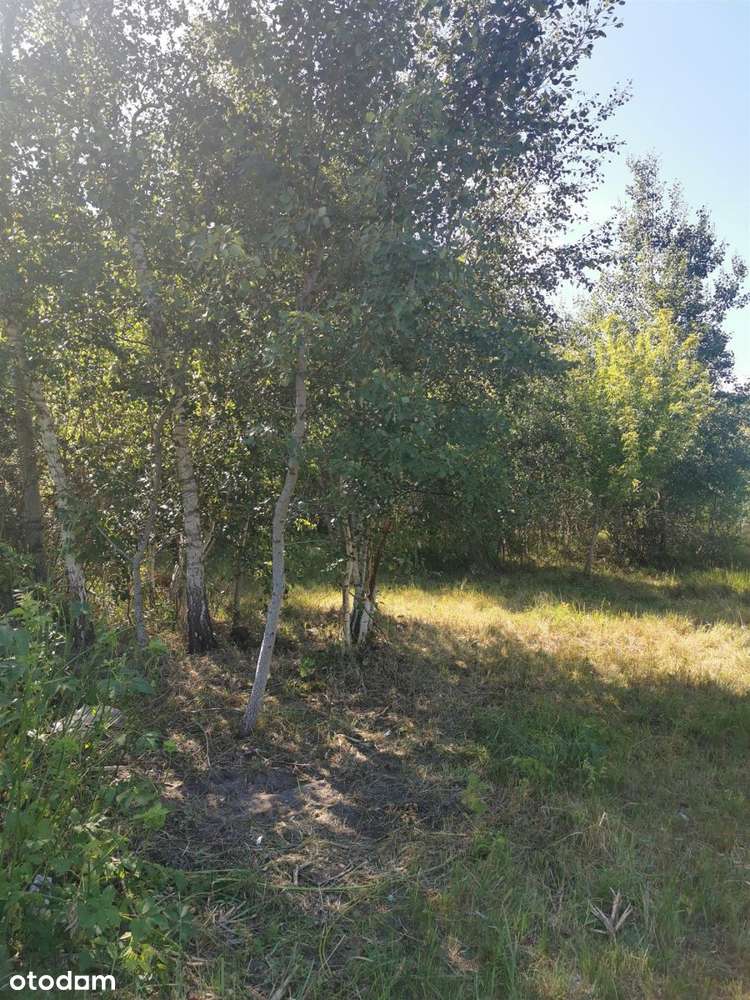 Atrakcyjna Działka NA Sprzedaż W Karsznicach