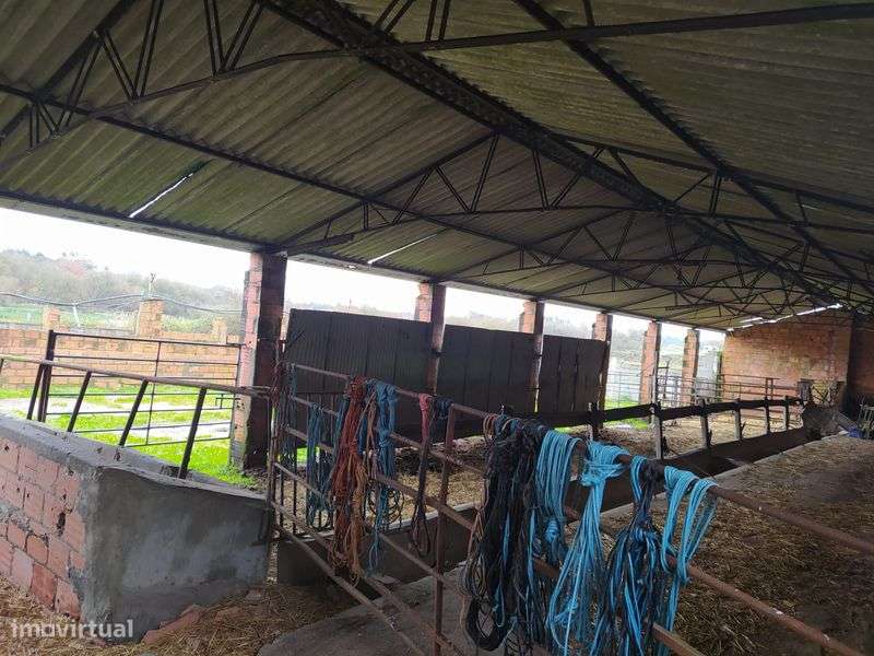 Vacaria com casa de habitação - Grande imagem: 5/8