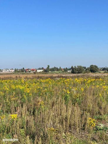 Działka w Falenty Nowe z panoramą Warszawy