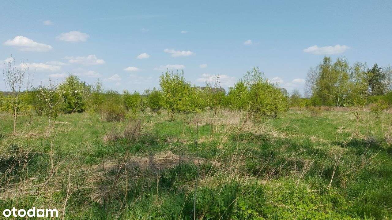 Na sprzedaż działka przy lesie z warunkami zabudowy - Pełny obrazek: 4/13