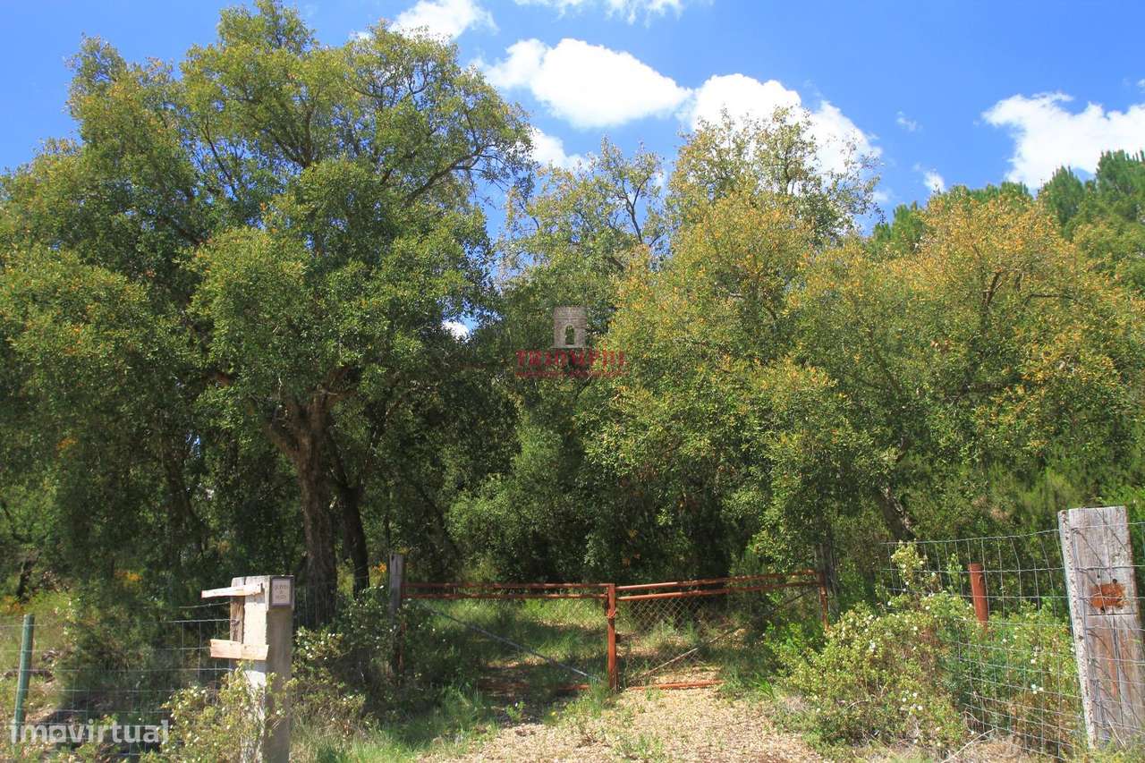 Terreno 35.000m2, Madalena e Beselga, Tomar - Grande imagem: 5/23