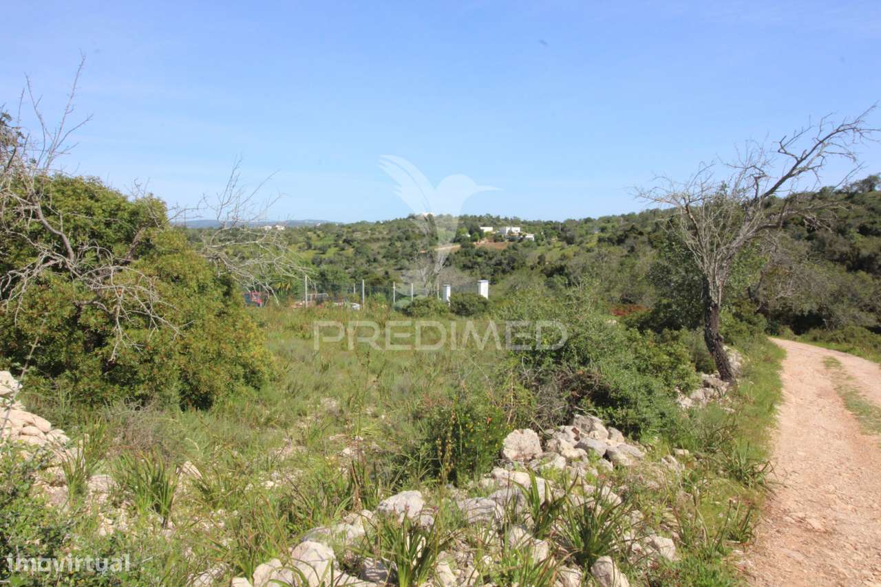 Ruína geminada, com terreno - Grande imagem: 5/16