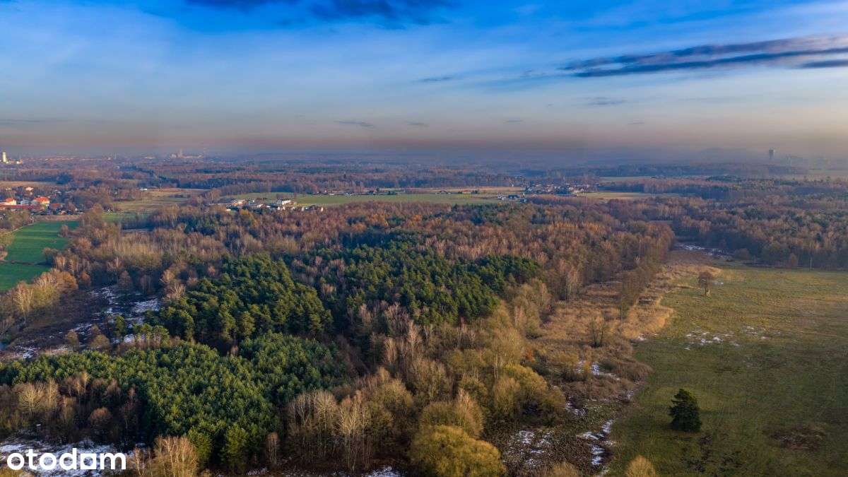 Działka Premium z prywatny lasem - 7,99ha-7