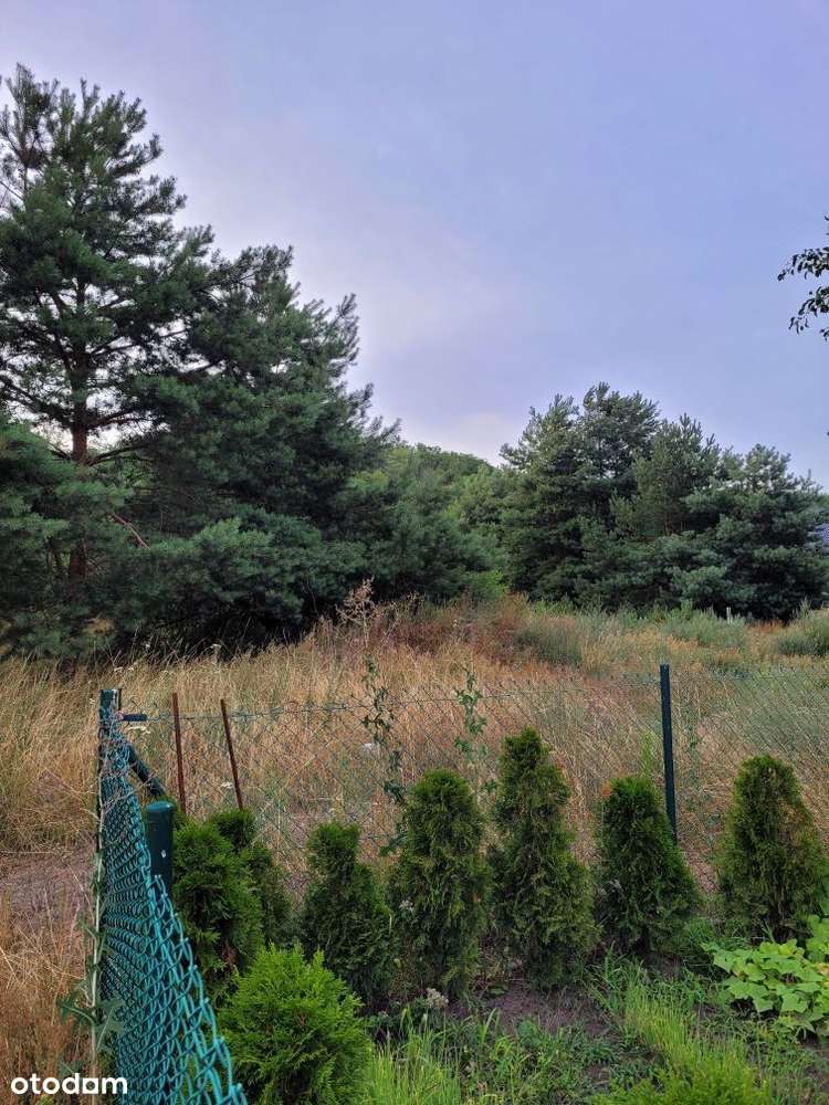 Działka budowlana Mościczki Witnica - Kostrzyn n/O - Pełny obrazek: 4/9