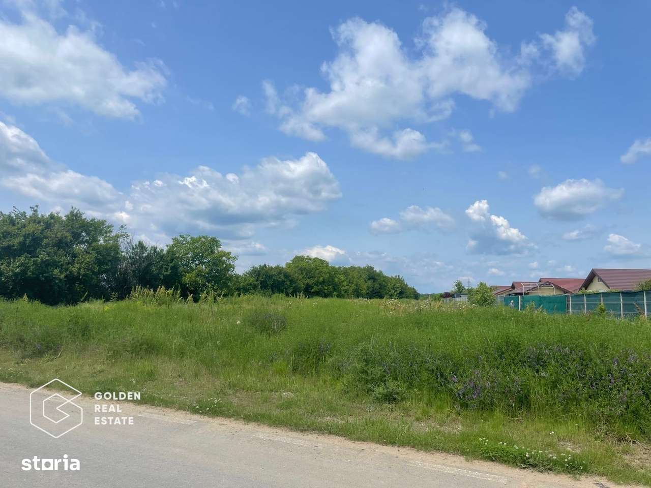 Teren intravilan, Balotești, Strada Cameliei 36, 10.000 mp - Imagine principală: 3/5