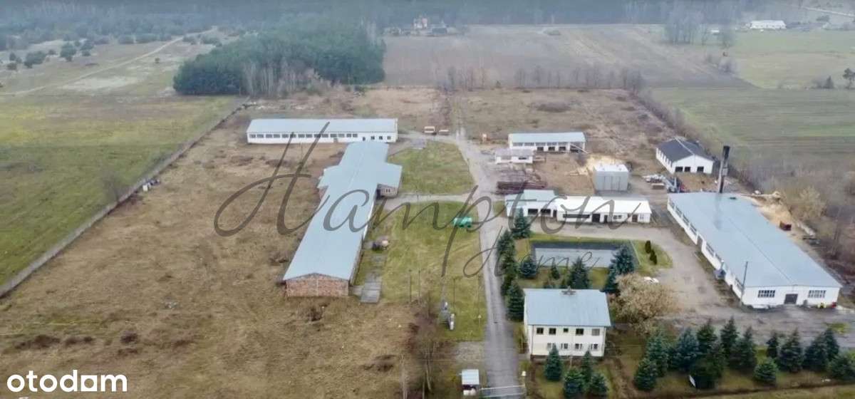 Hale z magazynami, linią produkcyjną-1