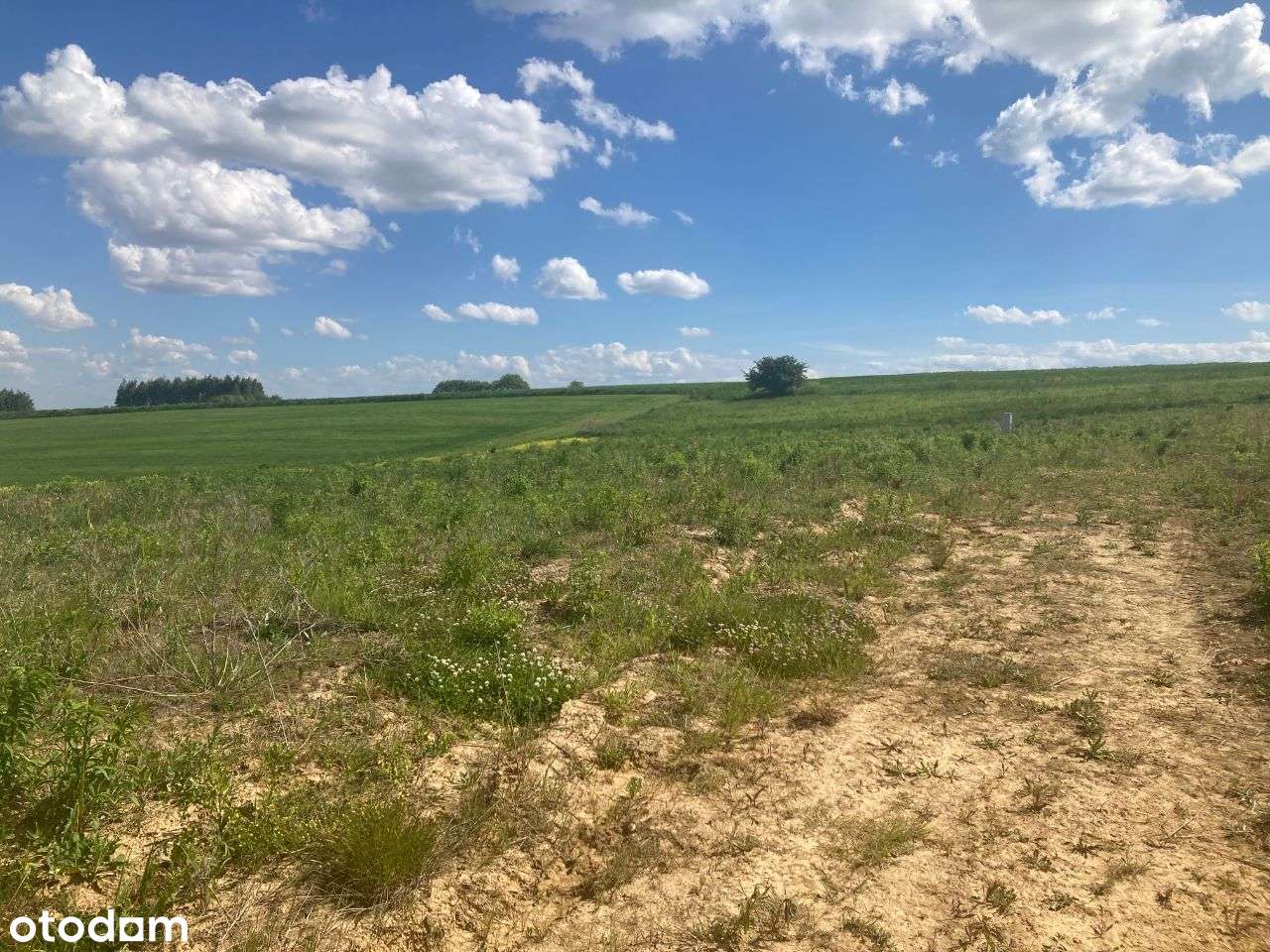 Dom jednorodzinny wolnostojący na sprzedaż — działka 9ar - Pełny obrazek: 5/17