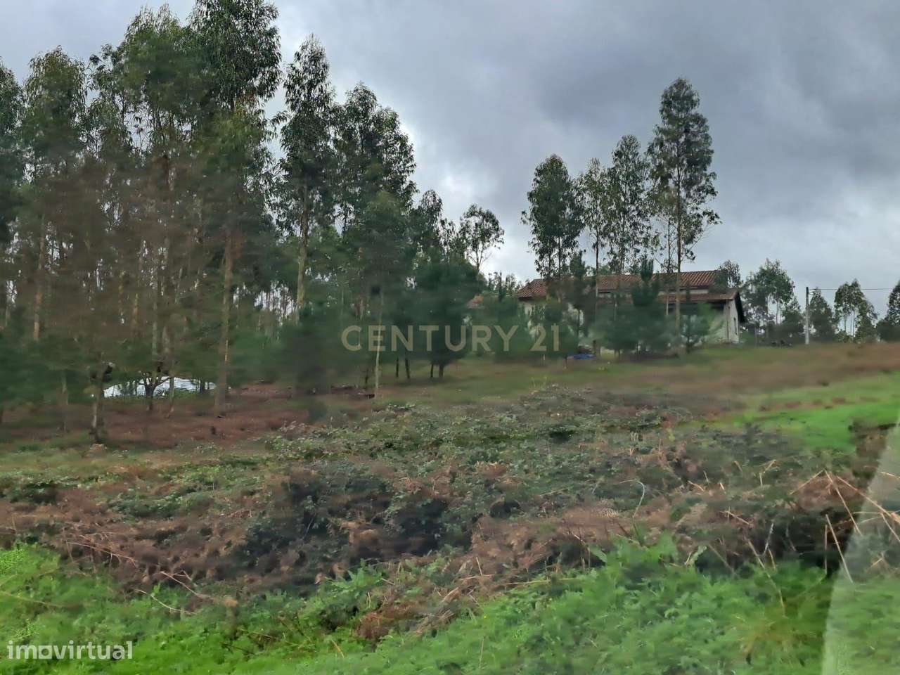 Terreno Espetacular em São Martinho da Cortiça, Arganil - Grande imagem: 4/5