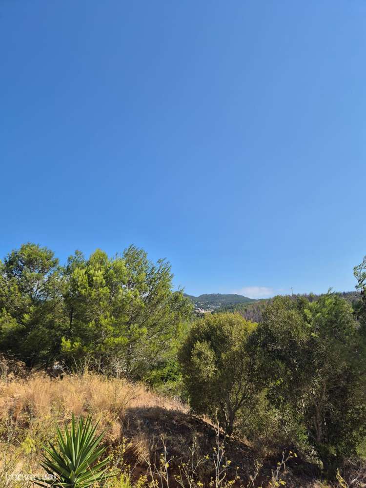 Terreno Exclusivo com Projeto Aprovado (Licença de obras emitida) - Grande imagem: 4/32