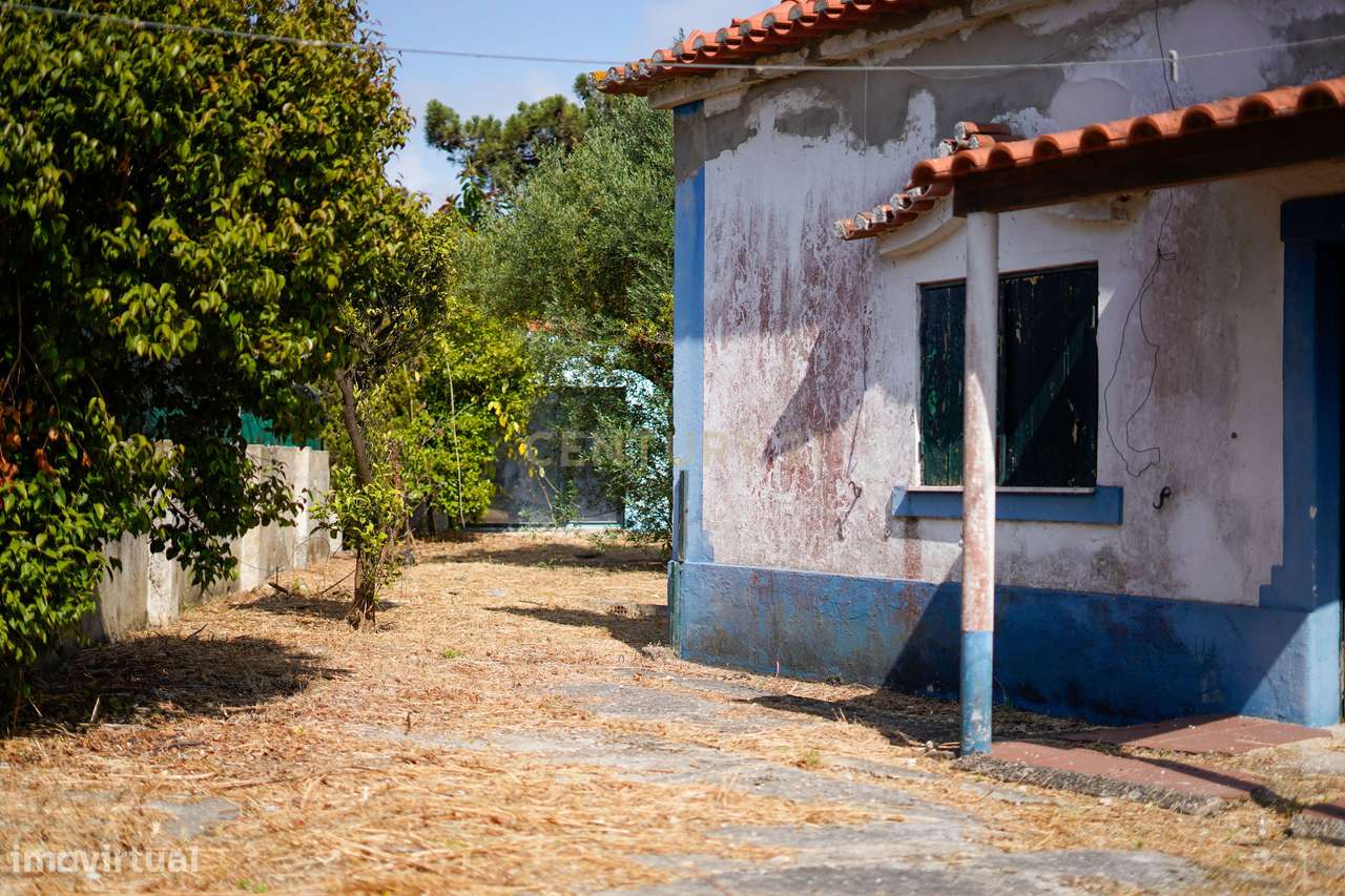 Restaurante - Charneca da Caparica - Grande imagem: 5/22