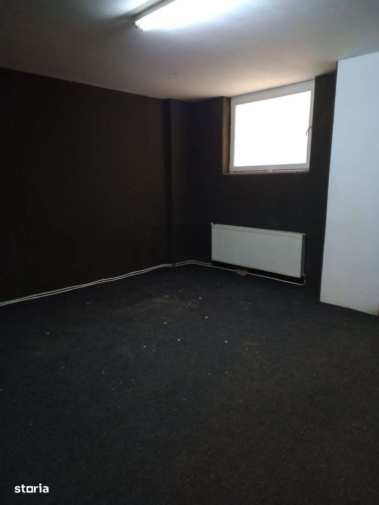 Spatiu Comercial Moroasa-5