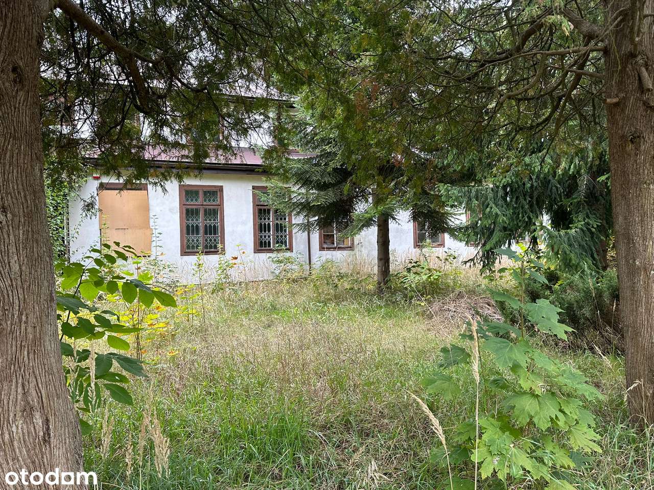 Na sprzedaż! Nieruchomość z klimatem – ul. Zielona - Pełny obrazek: 4/4