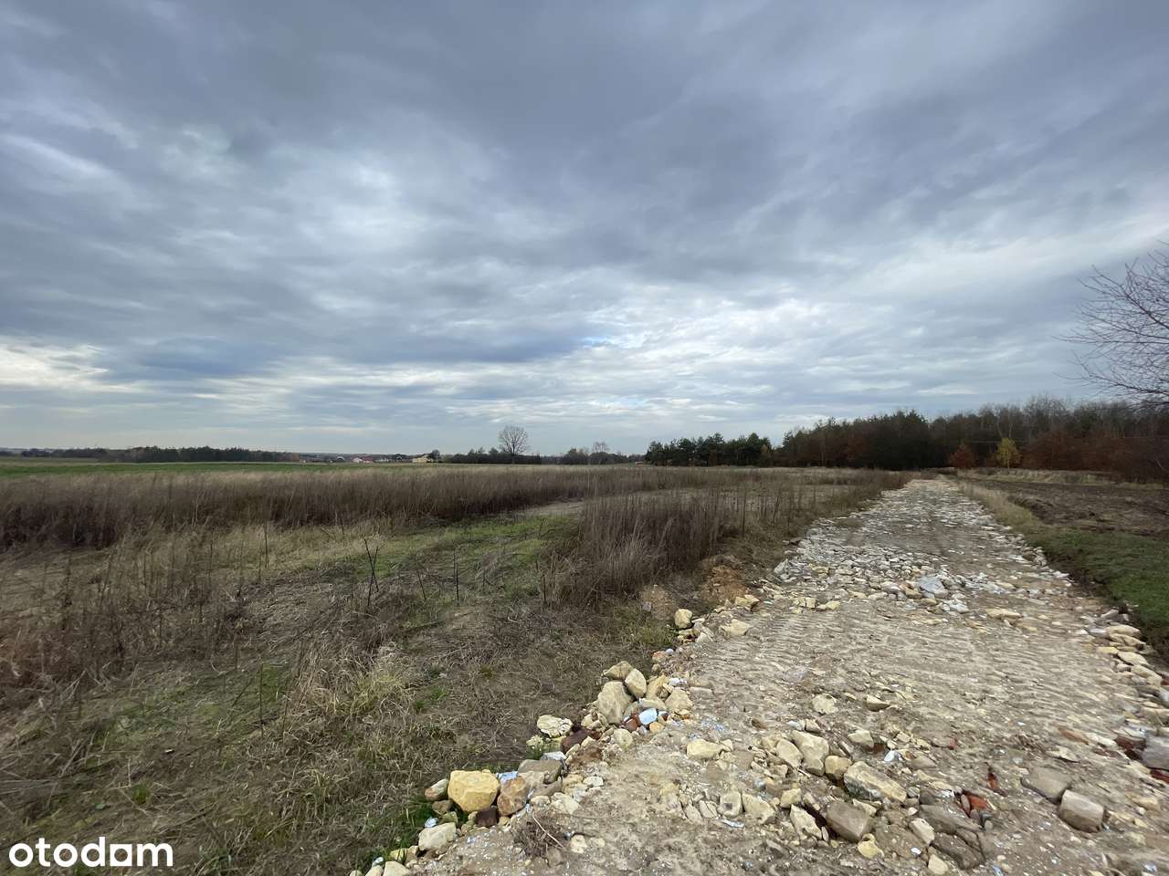WZ | Woda, prąd, kanalizacja | JuraPark | Utwardzony dojazd | Kwadrat - Pełny obrazek: 5/17