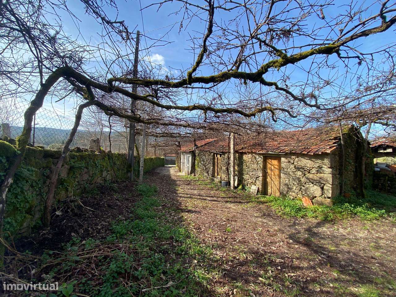 Quintinha com moradia em pedra para restauro com 2.000m2 de terreno.-9