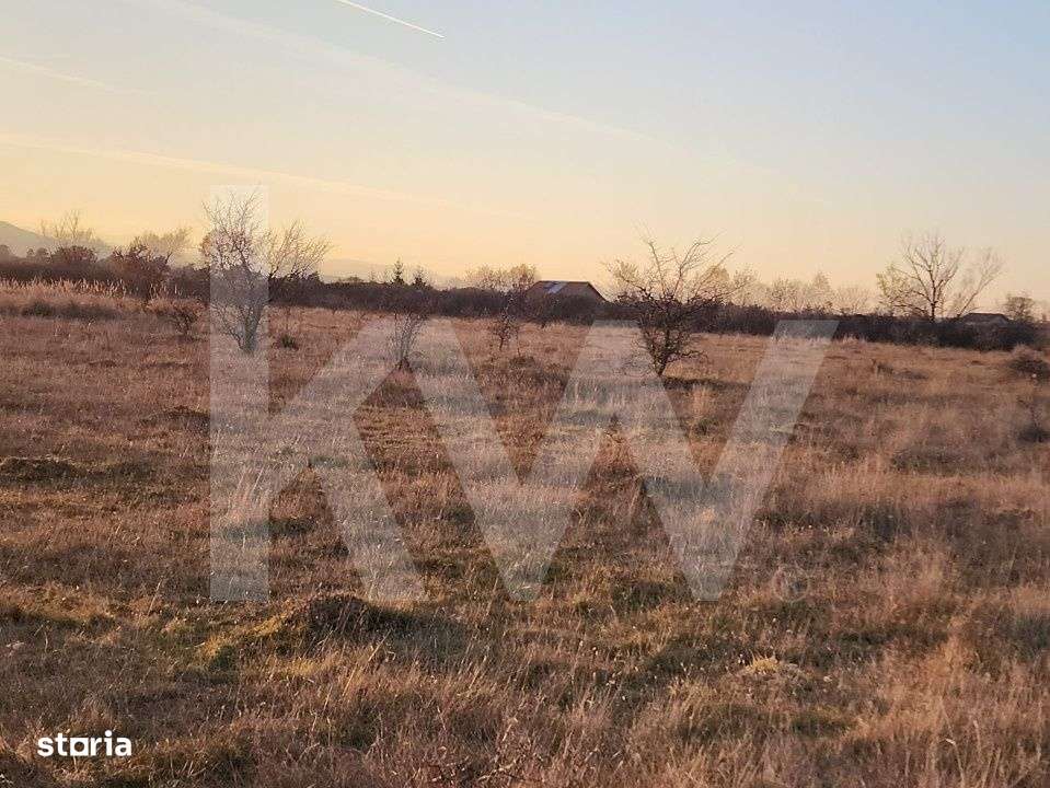 Oportunitate investitie | De vanzare, 3 parcele de 560 mp. - Imagine principală: 2/5