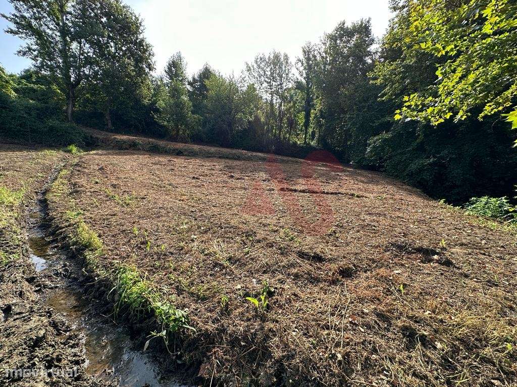 Terreno rústico com 3.585 m2 m São Jorge de Vizela, Felgueiras - Grande imagem: 5/9