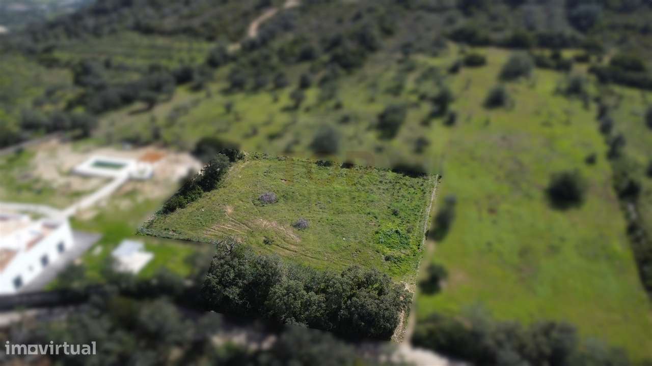 Terreno Rústico para Venda em Santa Bárbara de Nexe - Grande imagem: 2/19